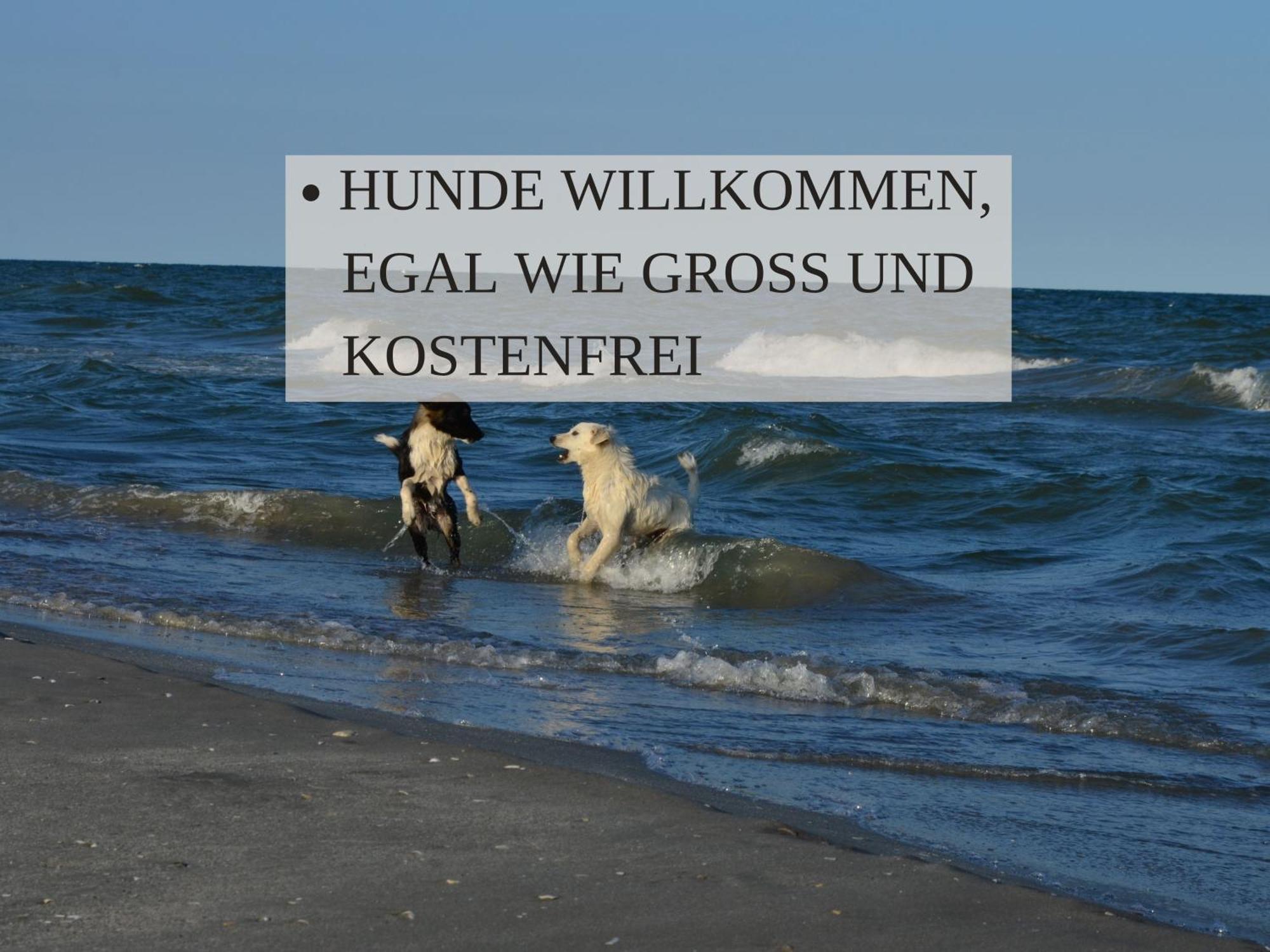 וורמן Haus Krabbe Apartments Mit Doppelbetten, Fuer 1-2 Personen, Hunde Kostenfrei Willkommen, Kostenfreier Parkplatz, Zwischen Bremerhaven Und Cuxhaven Gelegen מראה חיצוני תמונה